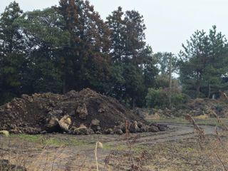 새달귤농장님의 귤 · 영농일지 작성글 사진