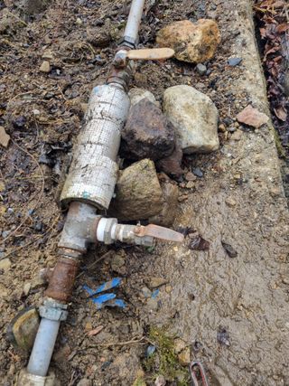 김용대님의 기타작물 · 영농일지 작성글 사진