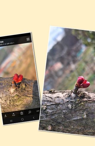 레인보우가든님의 기타작물 · 영농일지 작성글 사진