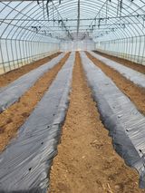 팜모닝 기타작물·영농일지 게시글 이미지