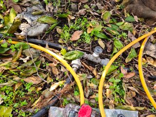 새달귤농장님의 귤 · 영농일지 작성글 사진