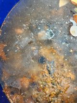 팜모닝 기타작물·영농일지 게시글 이미지