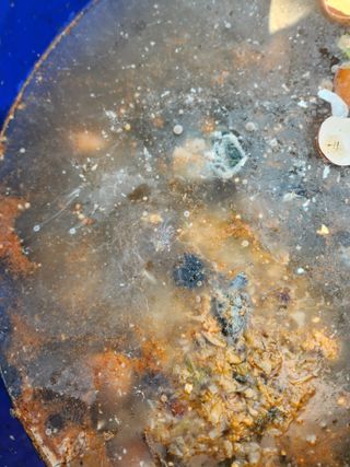 툇골짜기님의 기타작물 · 영농일지 작성글 사진