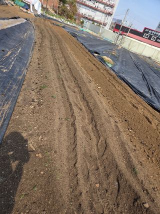 정찬길 님의 기타작물 · 영농일지 작성글 사진