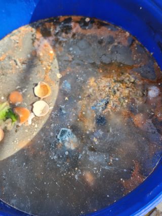 툇골짜기님의 기타작물 · 영농일지 작성글 사진