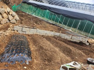 툇골짜기님의 기타작물 · 영농일지 작성글 사진