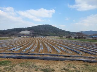석승인님의 기타작물 · 영농일지 작성글 사진