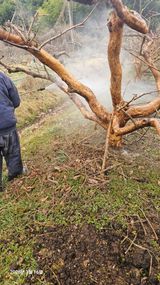 팜모닝 감·영농일지 게시글 이미지