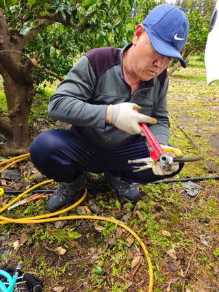 새달귤농장님의 귤 · 영농일지 작성글 사진
