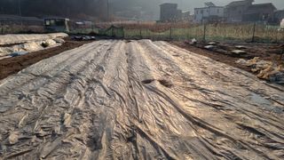 김윤회님의 감자 · 영농일지 작성글 사진