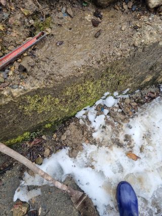 김용대님의 기타작물 · 영농일지 작성글 사진