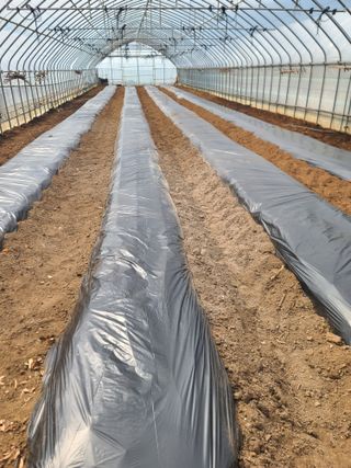 신경여님의 기타작물 · 영농일지 작성글 사진