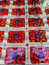 팜모닝 기타작물·영농일지 게시글 이미지