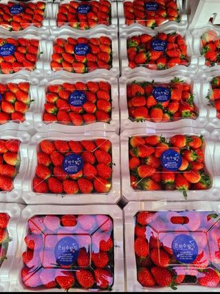 정정근님의 기타작물 · 영농일지 작성글 사진