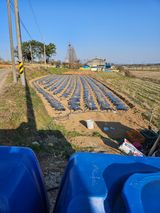 팜모닝 기타작물·영농일지 게시글 이미지