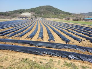 석승인님의 기타작물 · 영농일지 작성글 사진