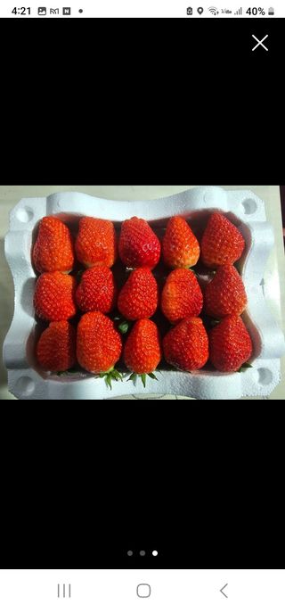 정정근님의 기타작물 · 영농일지 작성글 사진