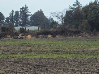새달귤농장님의 귤 · 영농일지 작성글 사진