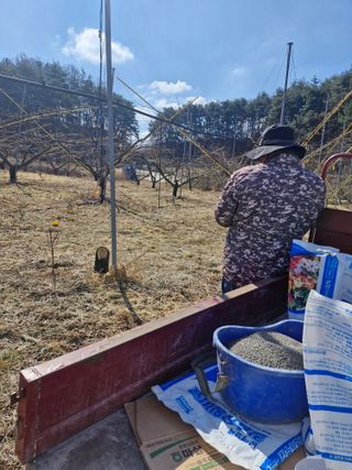 백운농원 님의 기타작물 · 영농일지 작성글 사진