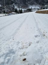 팜모닝 기타작물·영농일지 게시글 이미지