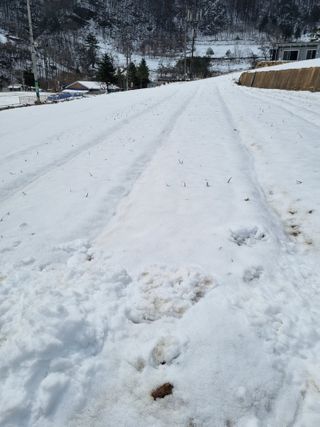 이상응님의 기타작물 · 영농일지 작성글 사진