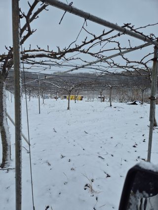 신인농원님의 기타작물 · 영농일지 작성글 사진