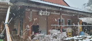 박사원농장님의 감자 · 영농일지 작성글 사진