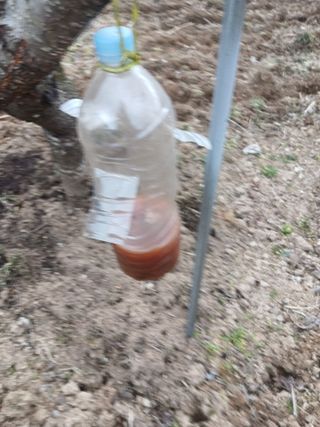 은행5k35000원님의 기타작물 · 영농일지 작성글 사진