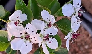 이정운님의 기타작물 · 영농일지 작성글 사진