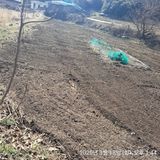 팜모닝 기타작물·영농일지 게시글 이미지