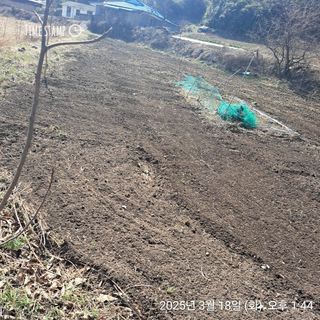 이말분님의 기타작물 · 영농일지 작성글 사진