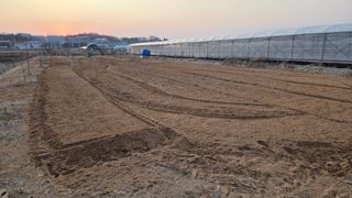 이종선님의 기타작물 · 영농일지 작성글 사진