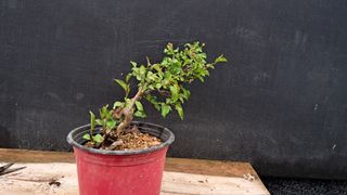 이정운님의 기타작물 · 영농일지 작성글 사진