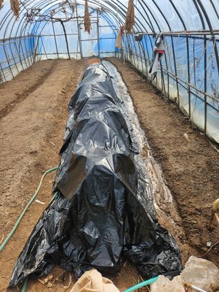 최철훈님의 기타작물 · 영농일지 작성글 사진