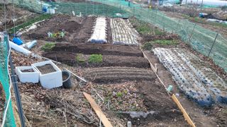 김영규님의 기타작물 · 영농일지 작성글 사진