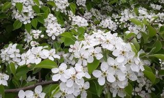 이정운님의 기타작물 · 영농일지 작성글 사진