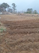 팜모닝 들깨·영농일지 게시글 이미지