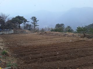 한정술님의 들깨 · 영농일지 작성글 사진