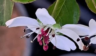 이정운님의 기타작물 · 영농일지 작성글 사진