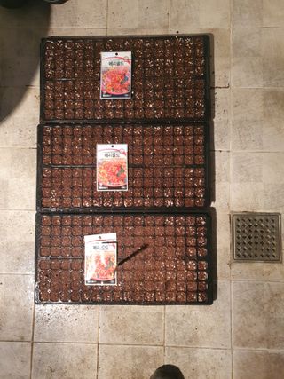 송완춘님의 기타작물 · 영농일지 작성글 사진