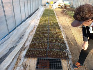 무주김근중님의 기타작물 · 영농일지 작성글 사진