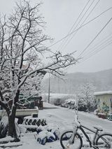 팜모닝 오이·영농일지 게시글 이미지