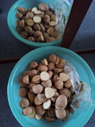 정도영님의 기타작물 · 영농일지 작성글 사진