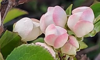 이정운님의 기타작물 · 영농일지 작성글 사진