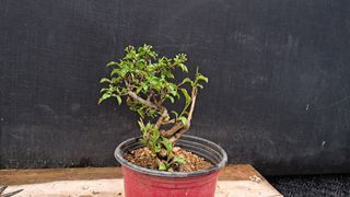 이정운님의 기타작물 · 영농일지 작성글 사진