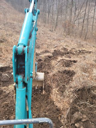 서성환님의 기타작물 · 영농일지 작성글 사진