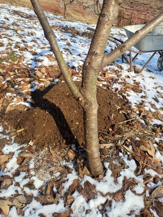 인산님의 기타작물 · 영농일지 작성글 사진