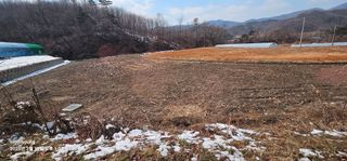 초보농부님의 기타작물 · 영농일지 작성글 사진