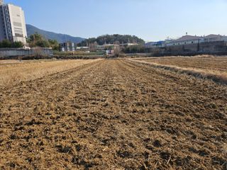 우경원님의 기타작물 · 영농일지 작성글 사진