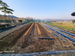 최正식(南昔)님의 기타작물 · 영농일지 작성글 사진